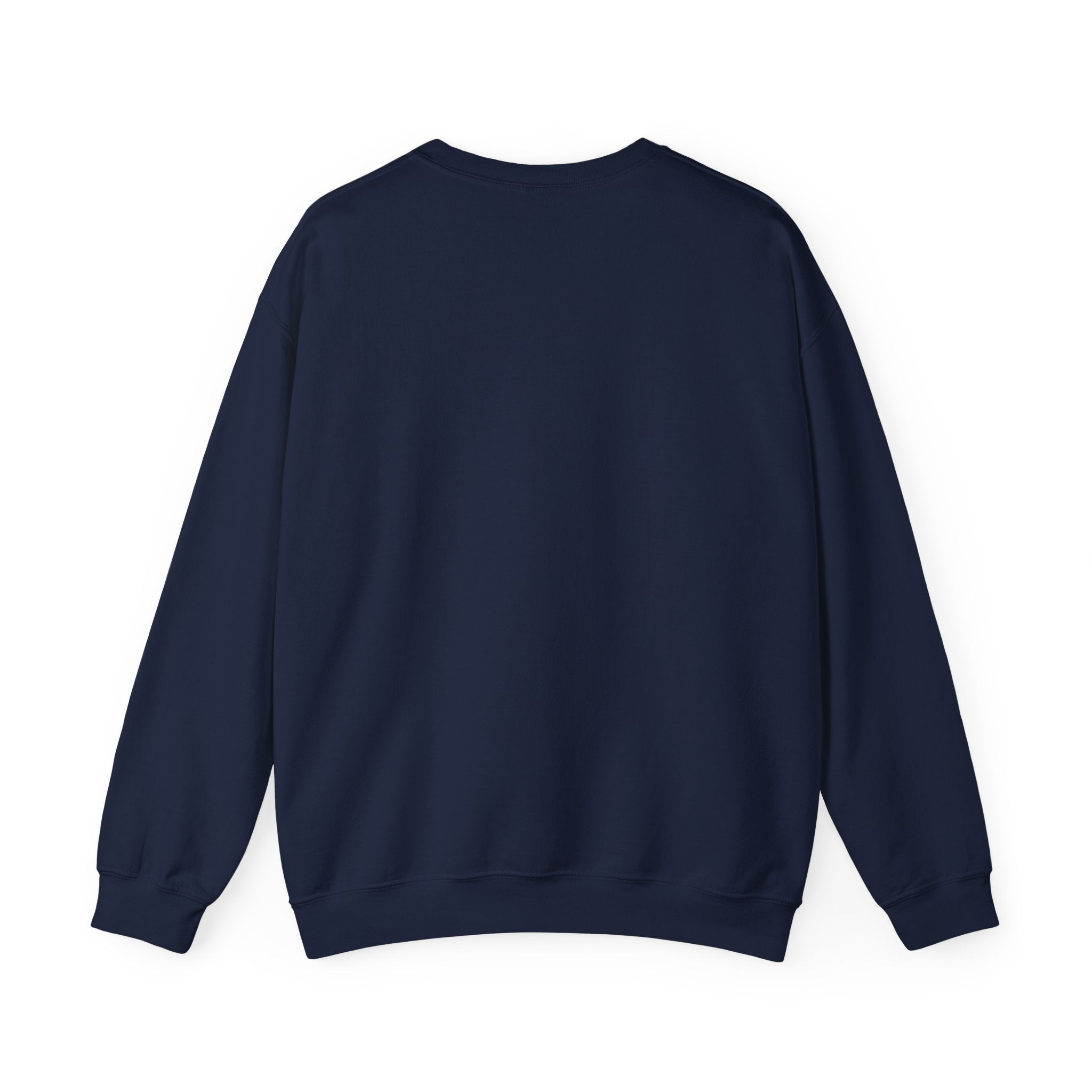 P = NP Vintage Blackboard Sweatshirt — Math Nerd Crewneck for Programmers & Students