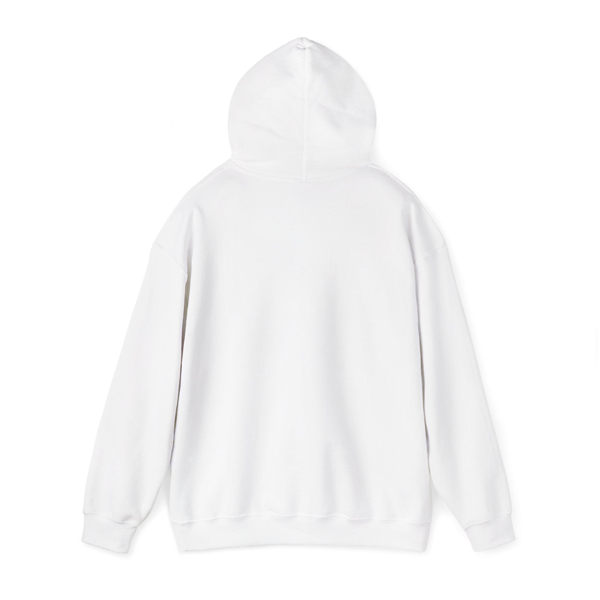 P = NP Hoodie — Math Nerd Chalkboard Pullover for Programmers & Students