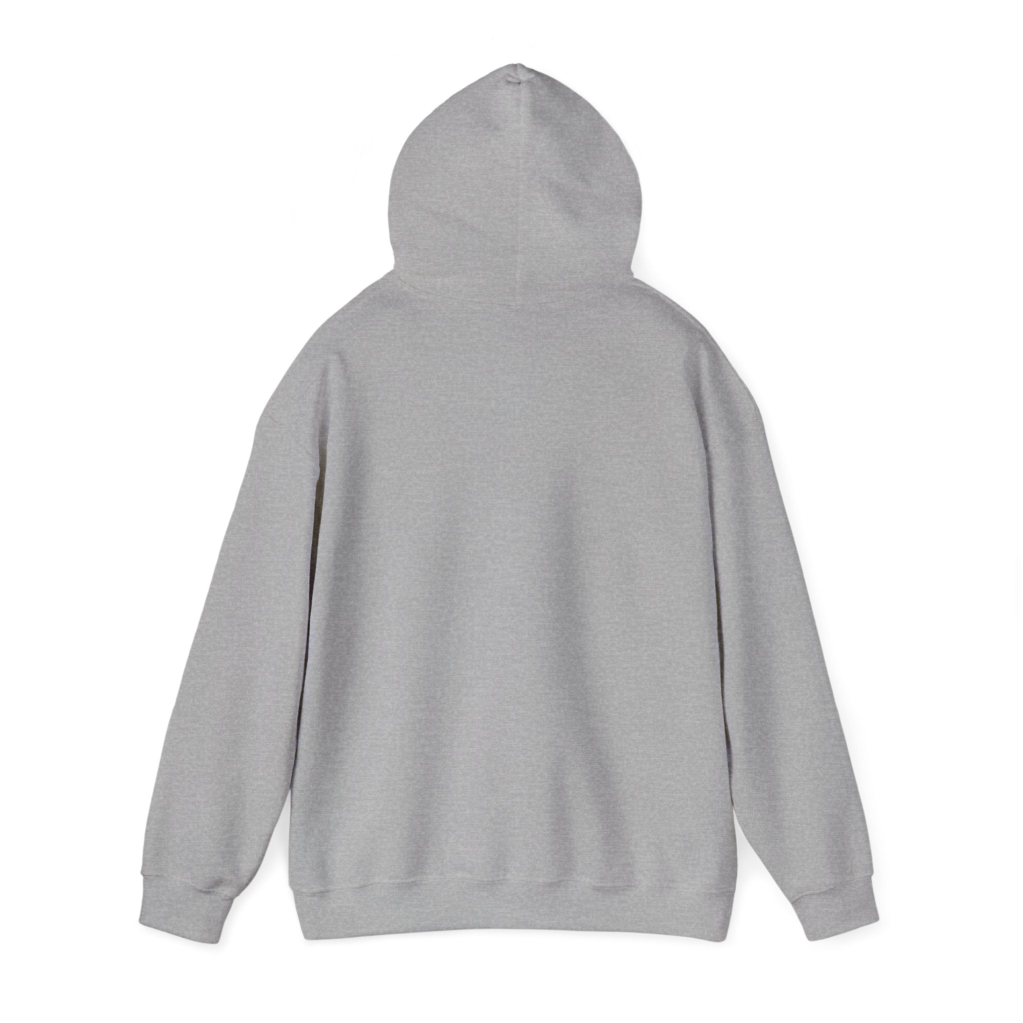 P = NP Hoodie — Math Nerd Chalkboard Pullover for Programmers & Students