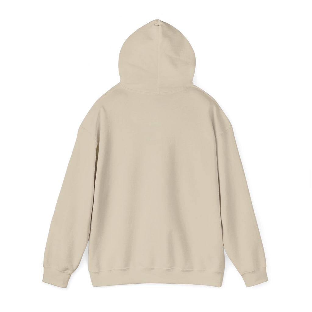 P = NP Hoodie — Math Nerd Chalkboard Pullover for Programmers & Students