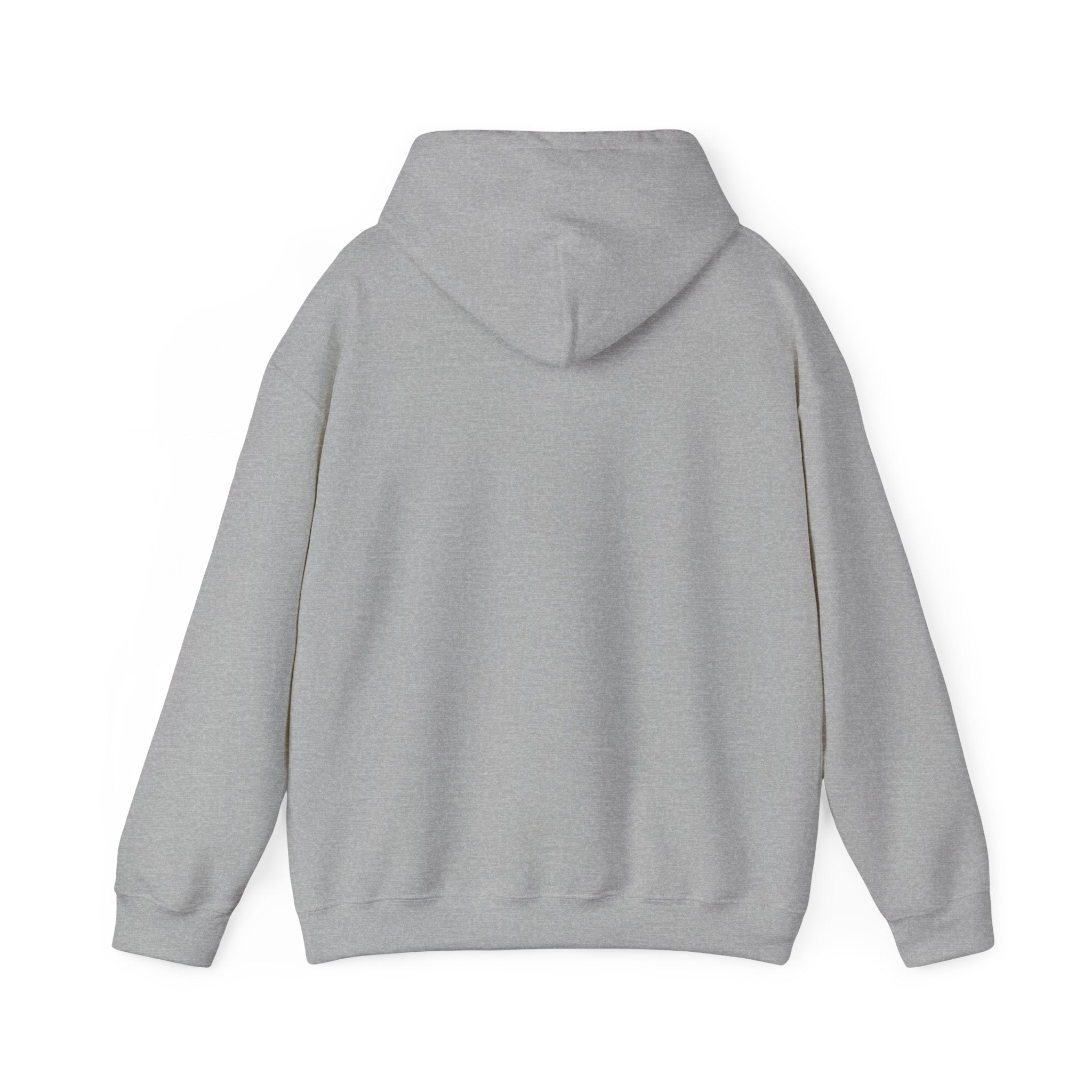 P = NP Hoodie — Math Nerd Chalkboard Pullover for Programmers & Students
