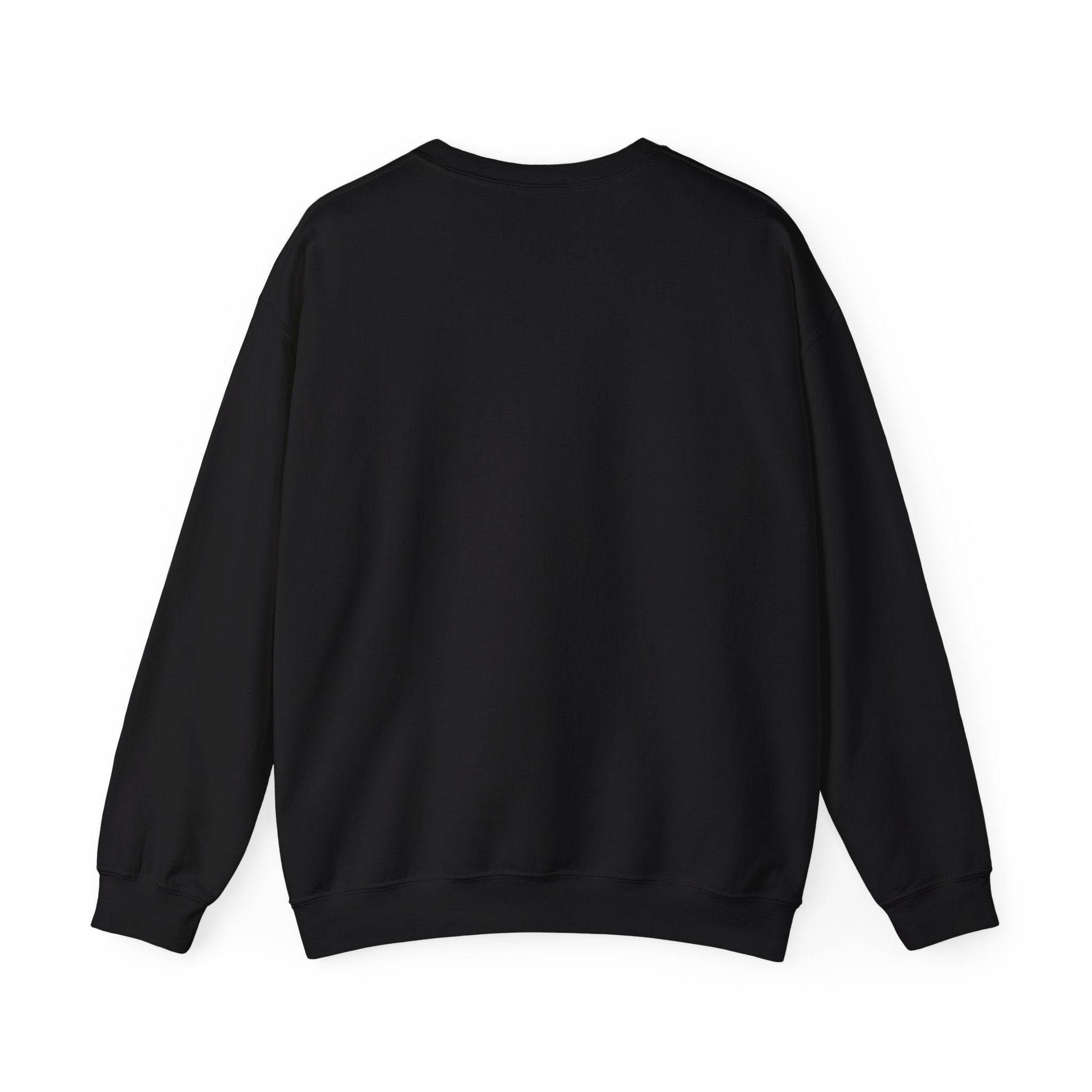 P = NP Vintage Blackboard Sweatshirt — Math Nerd Crewneck for Programmers & Students