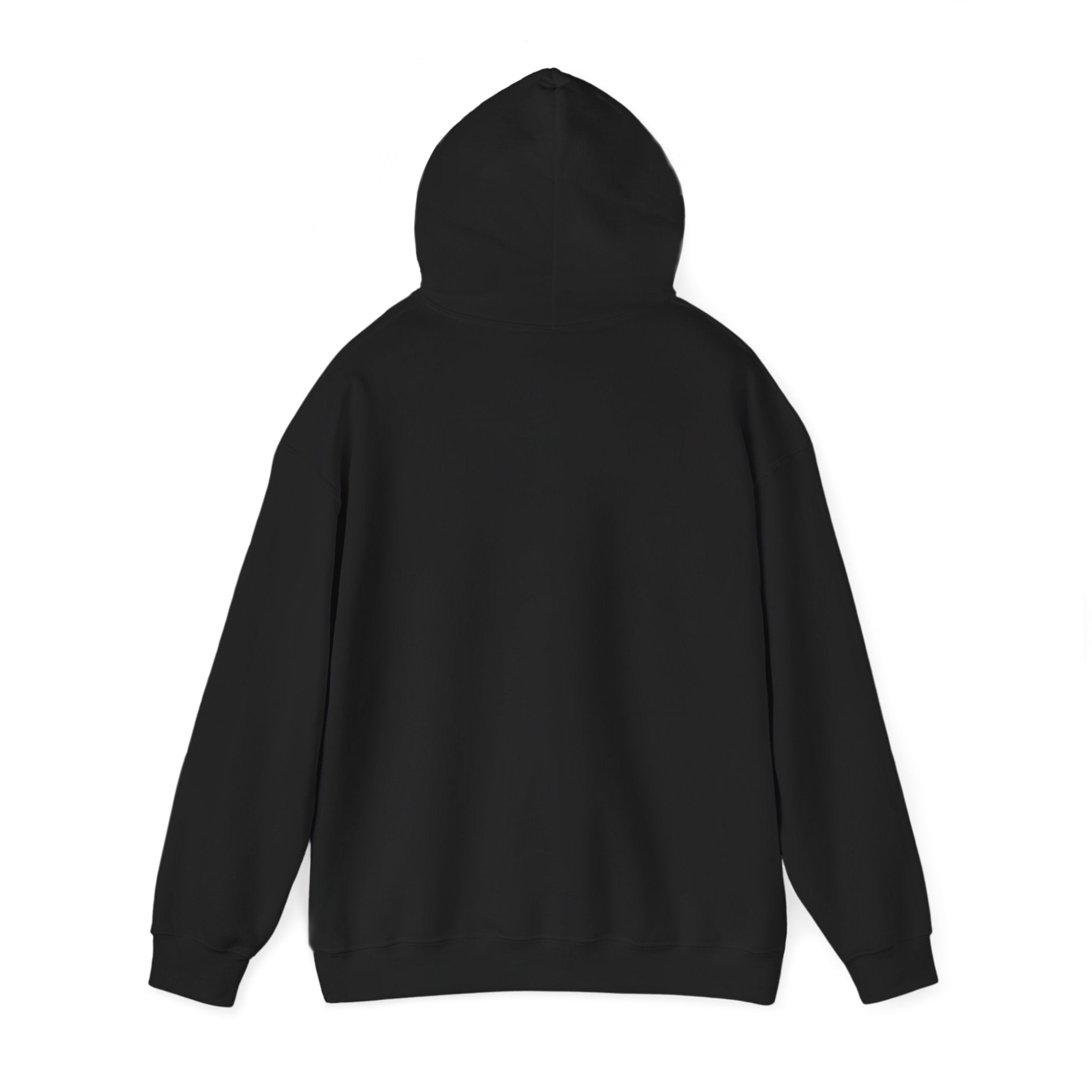 P = NP Hoodie — Math Nerd Chalkboard Pullover for Programmers & Students